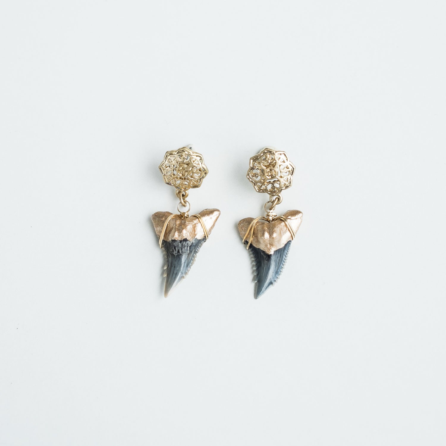 Snaggletooth Shark Tooth Earrings | Real Fossil Earring - Foxy Fossils  