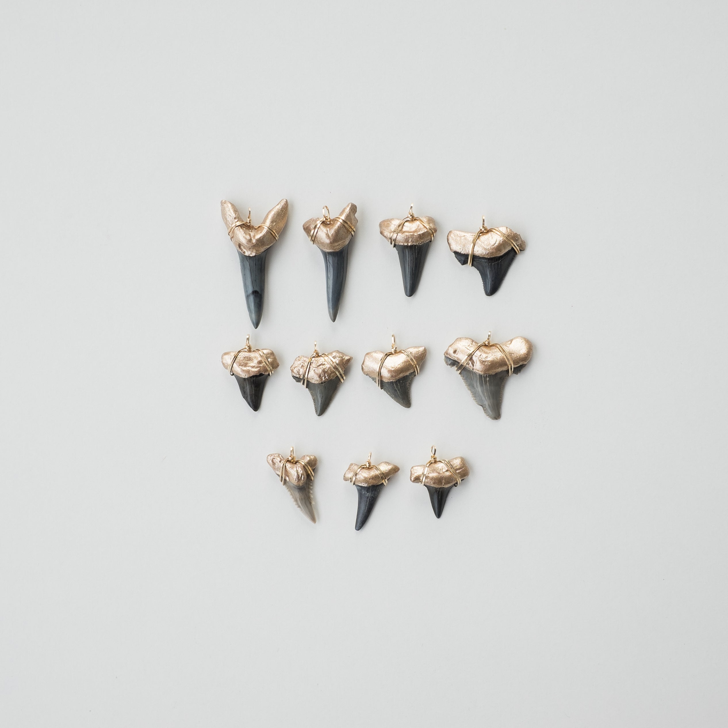 Prehistoric Pendants – Foxy Fossils