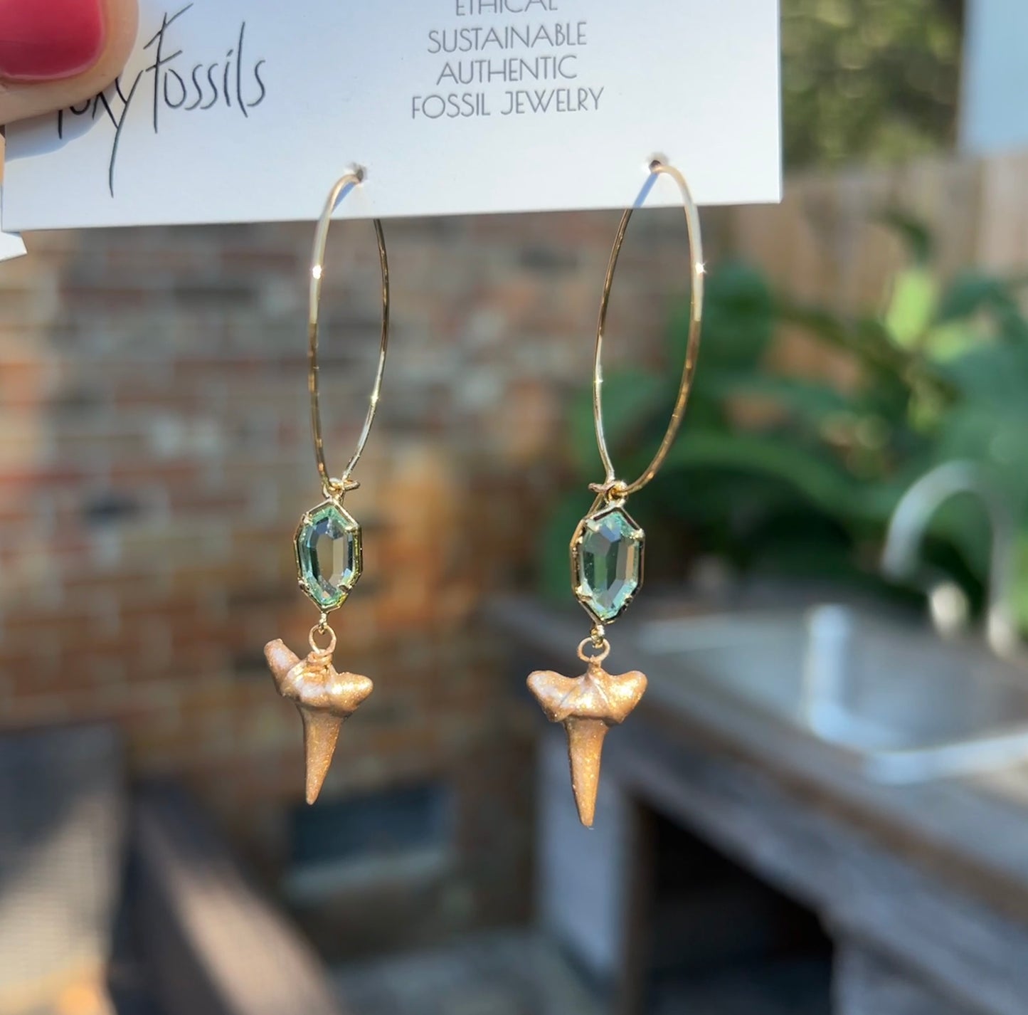 Saltwater legacy, gold, shark tooth earrings, Foxy Fossils 