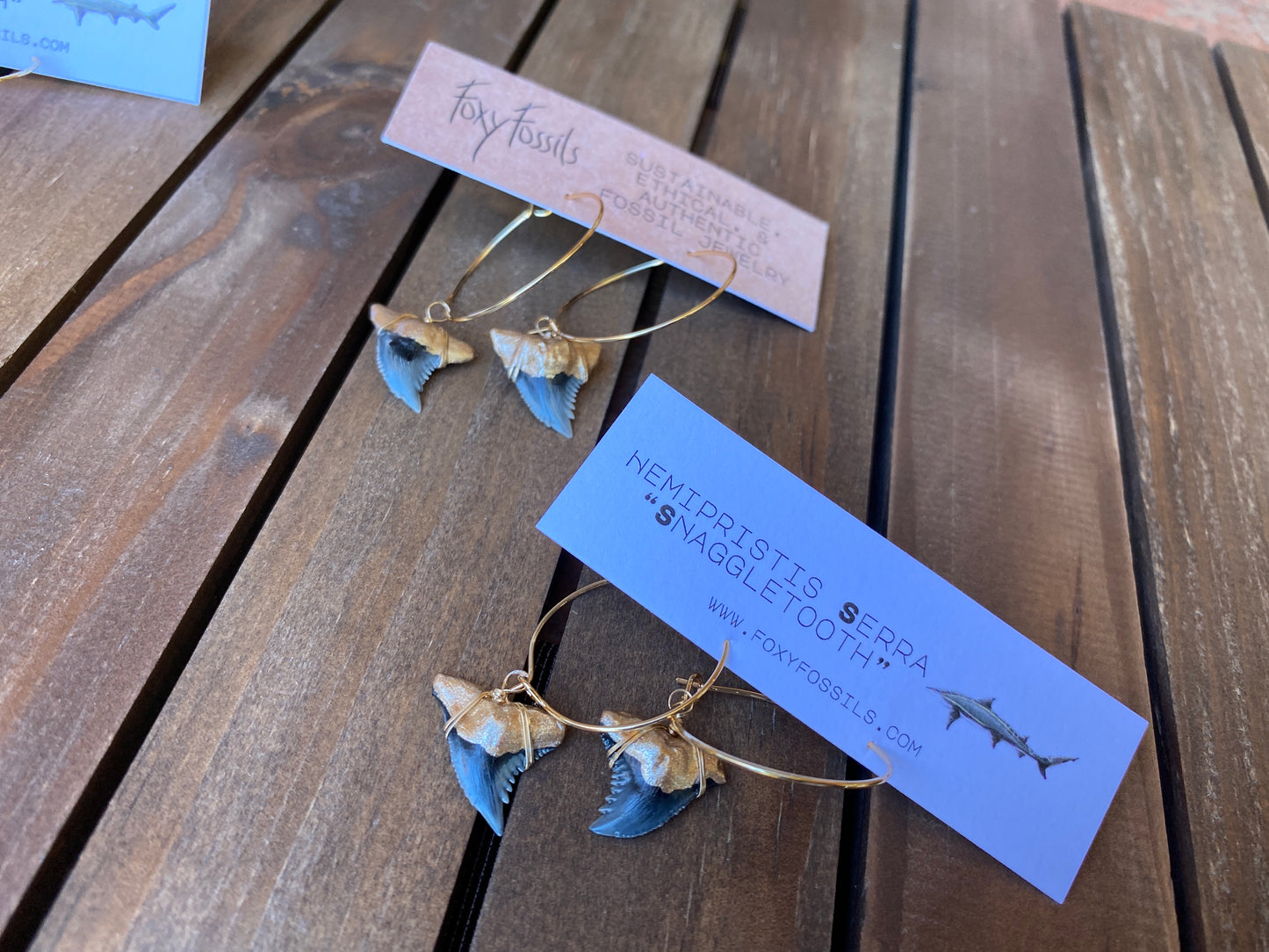 gold-tip snaggletooth hemi shark tooth hoop earrings-foxy fossils