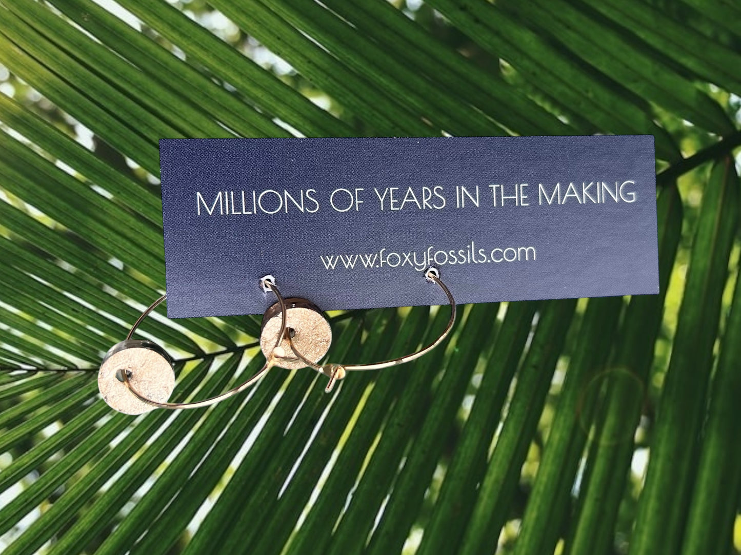 Tiny Shark Tooth Hoop Earrings