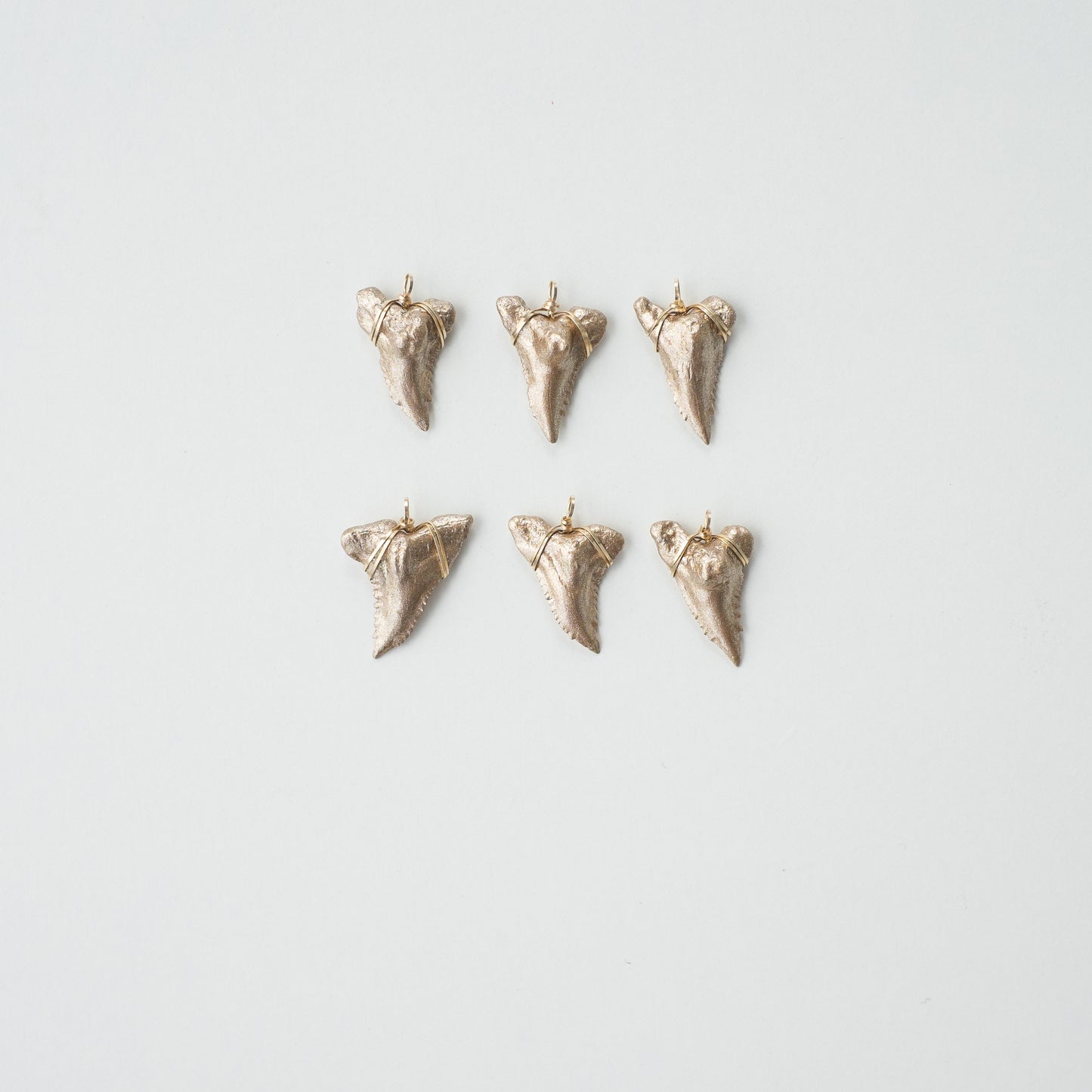 Shark Tooth Necklace — Hemipristis Serra Fossil Tooth | Foxy Fossils