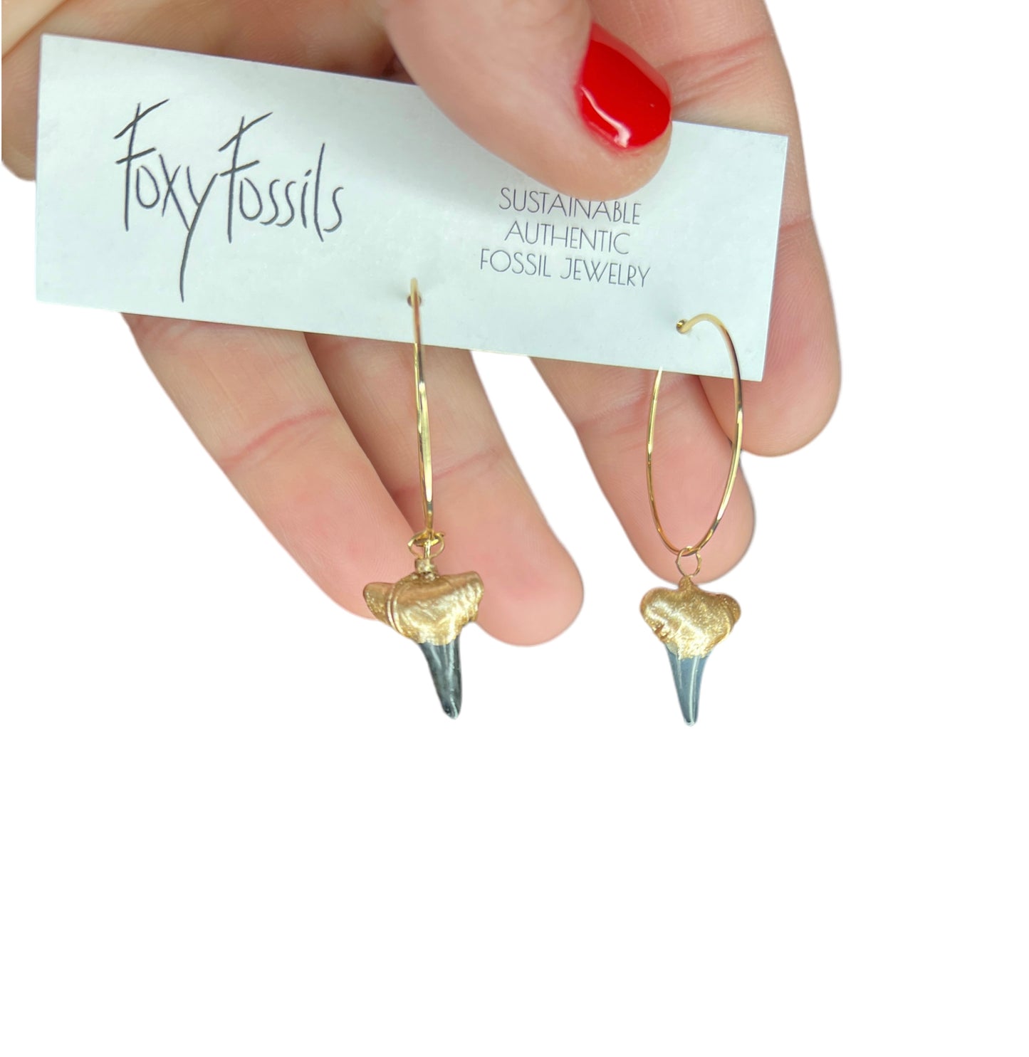 Shark Tooth Hoop Earrings - Gold