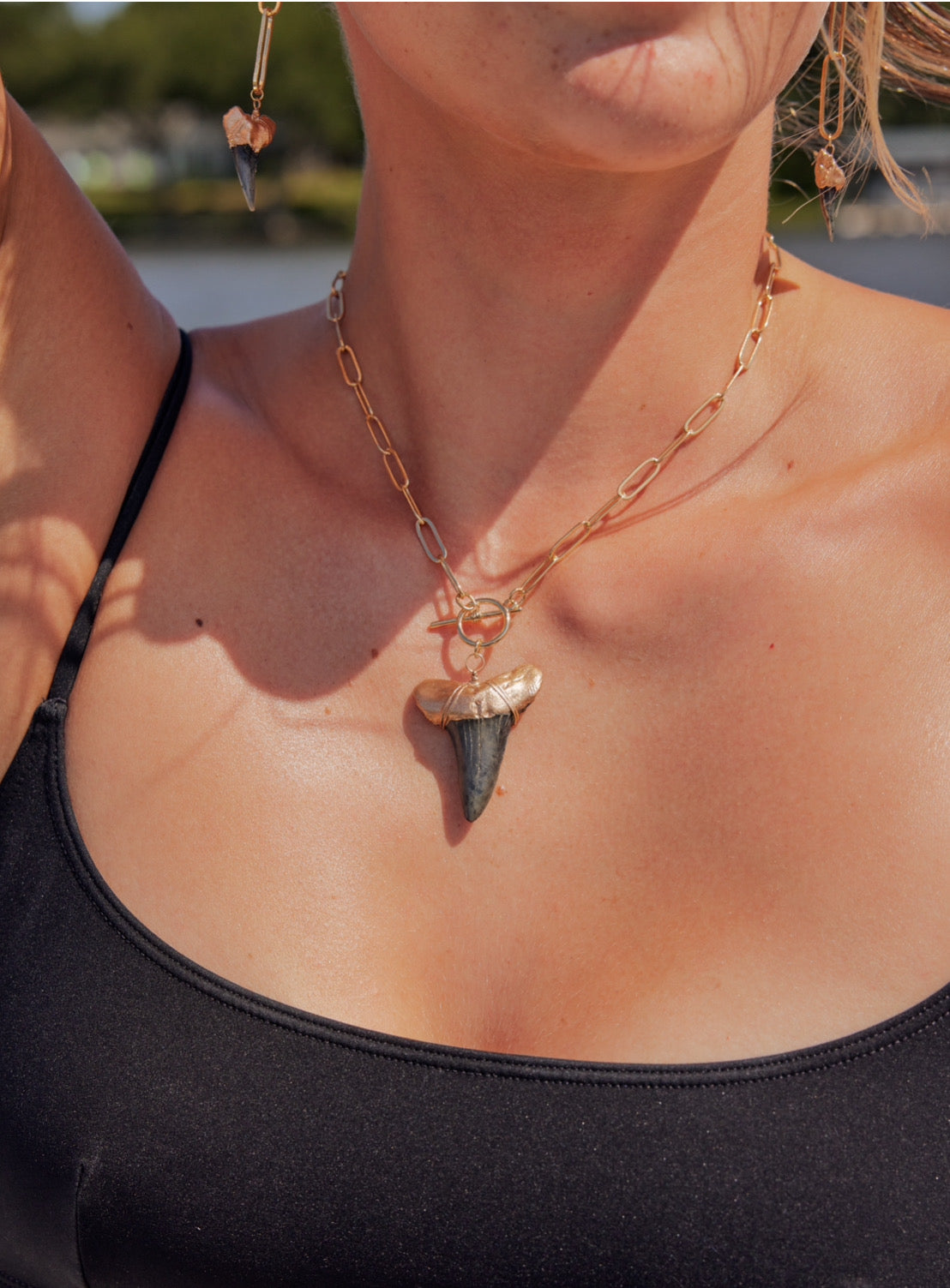 Large Prehistoric Shark Tooth Necklace—Gold-Tip on Chunky Chain