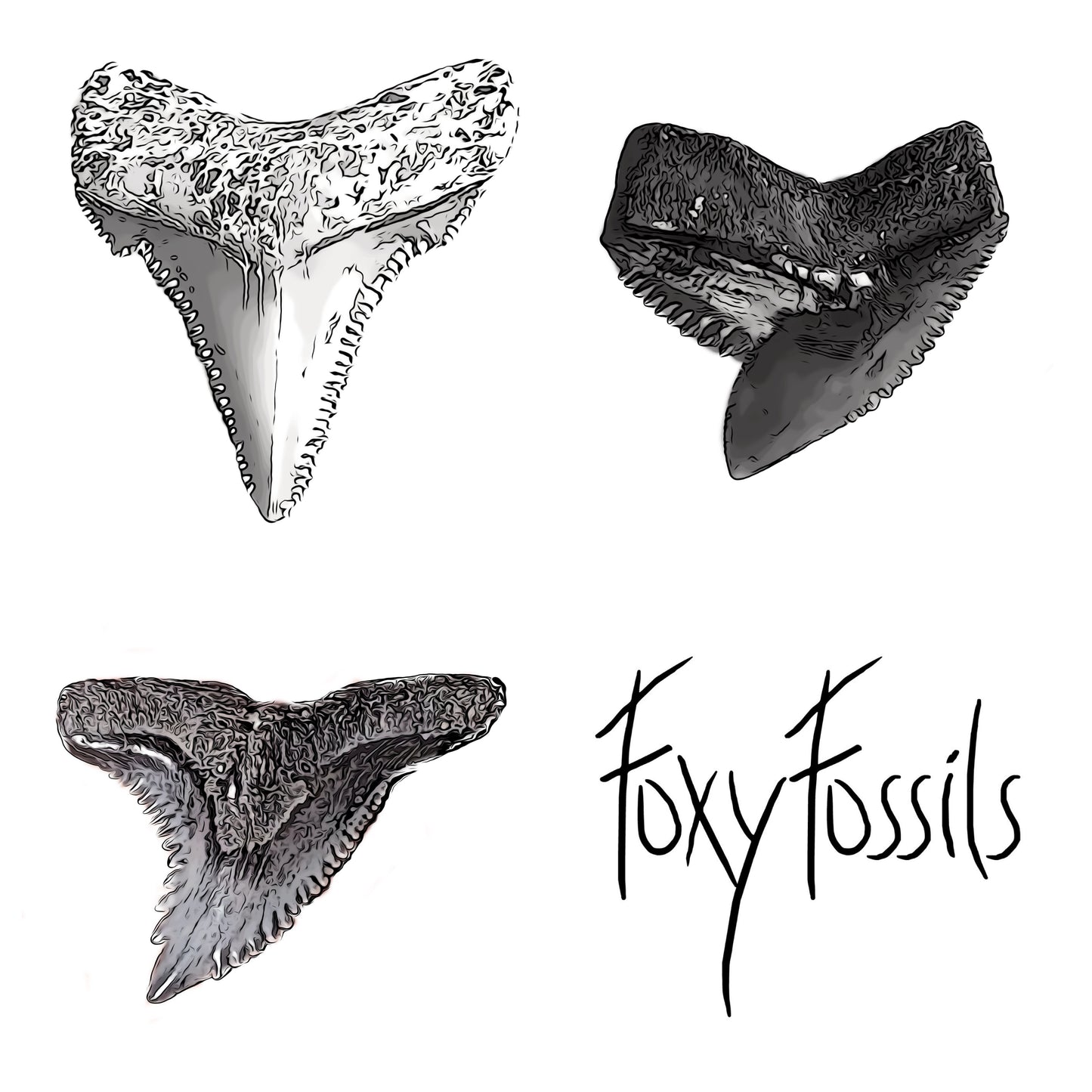 Fossil Dig Kits