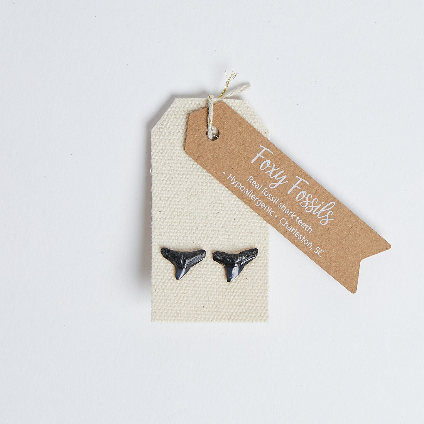 Natural Shark Tooth Stud Earrings - Foxy Fossils real fossil shark teeth stud earrings