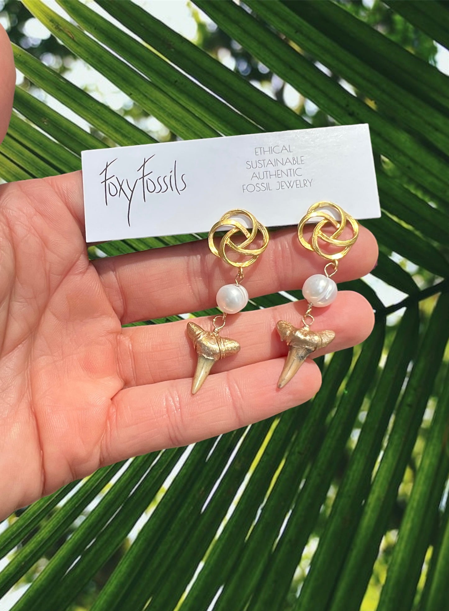 Elegant Shark Tooth Dangle Earrings