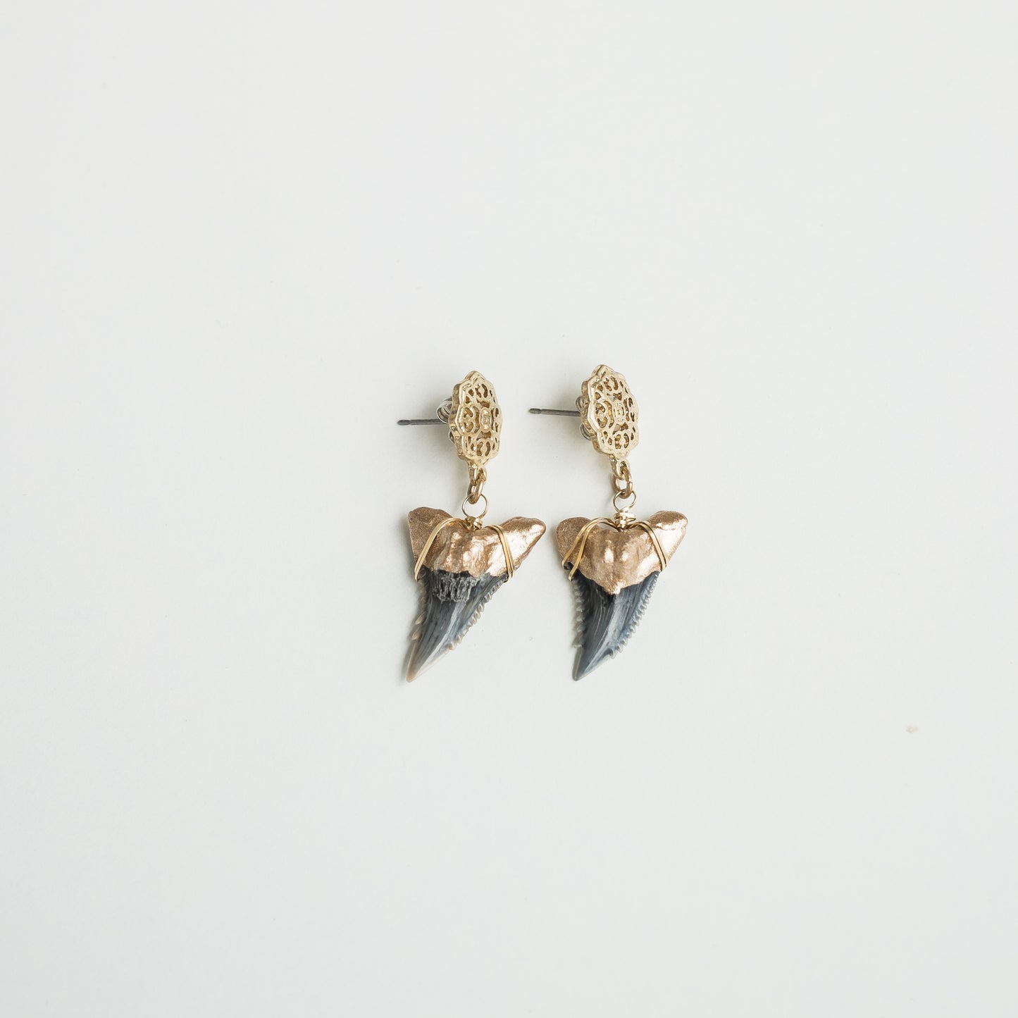 hemi shark teeth fossil earrings - Foxy Fossils