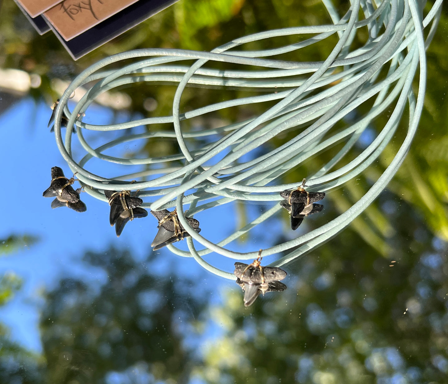 Leather Shark Tooth Necklace