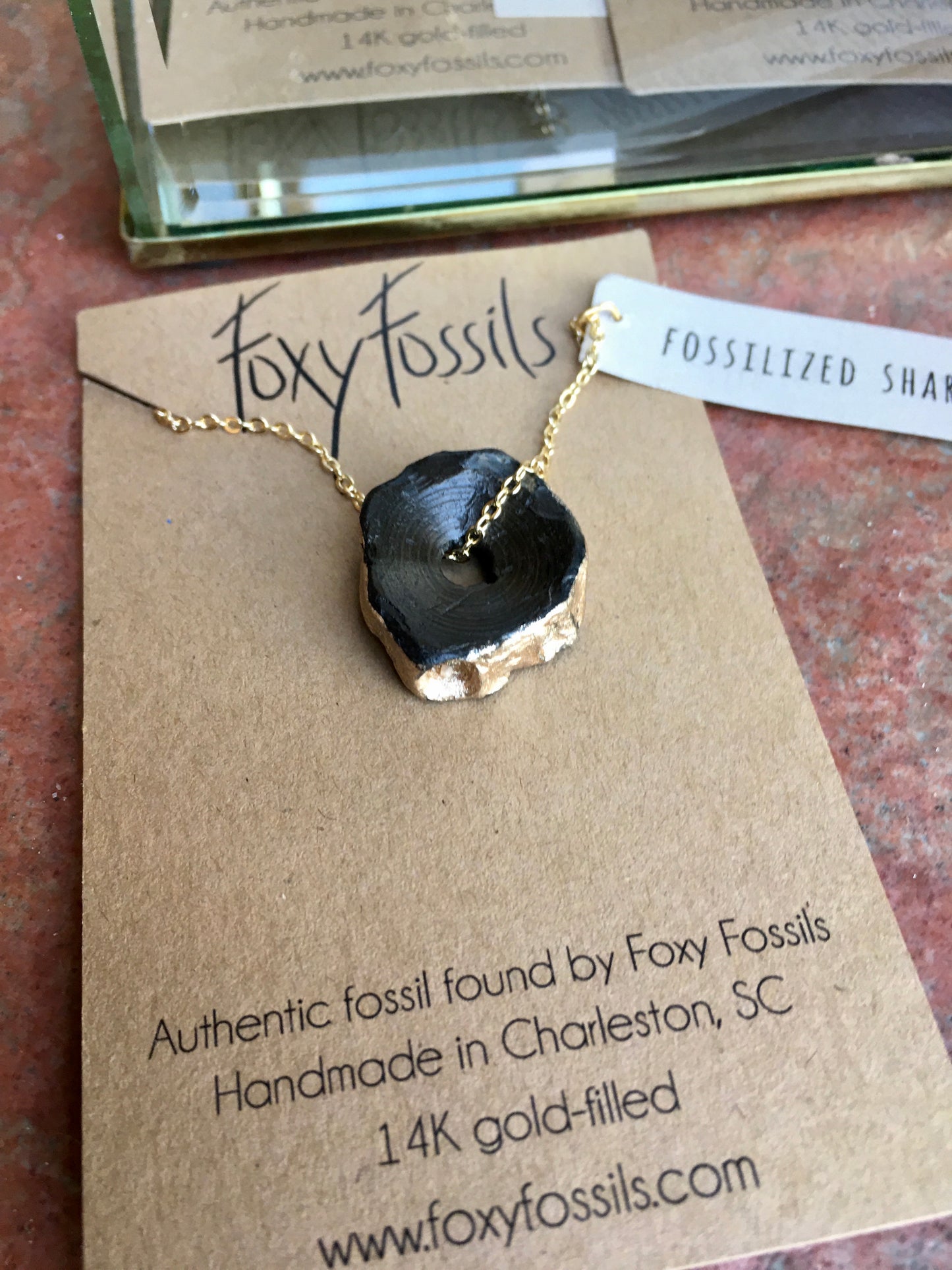 All is Swell | Fossil Shark Vertebra Necklace