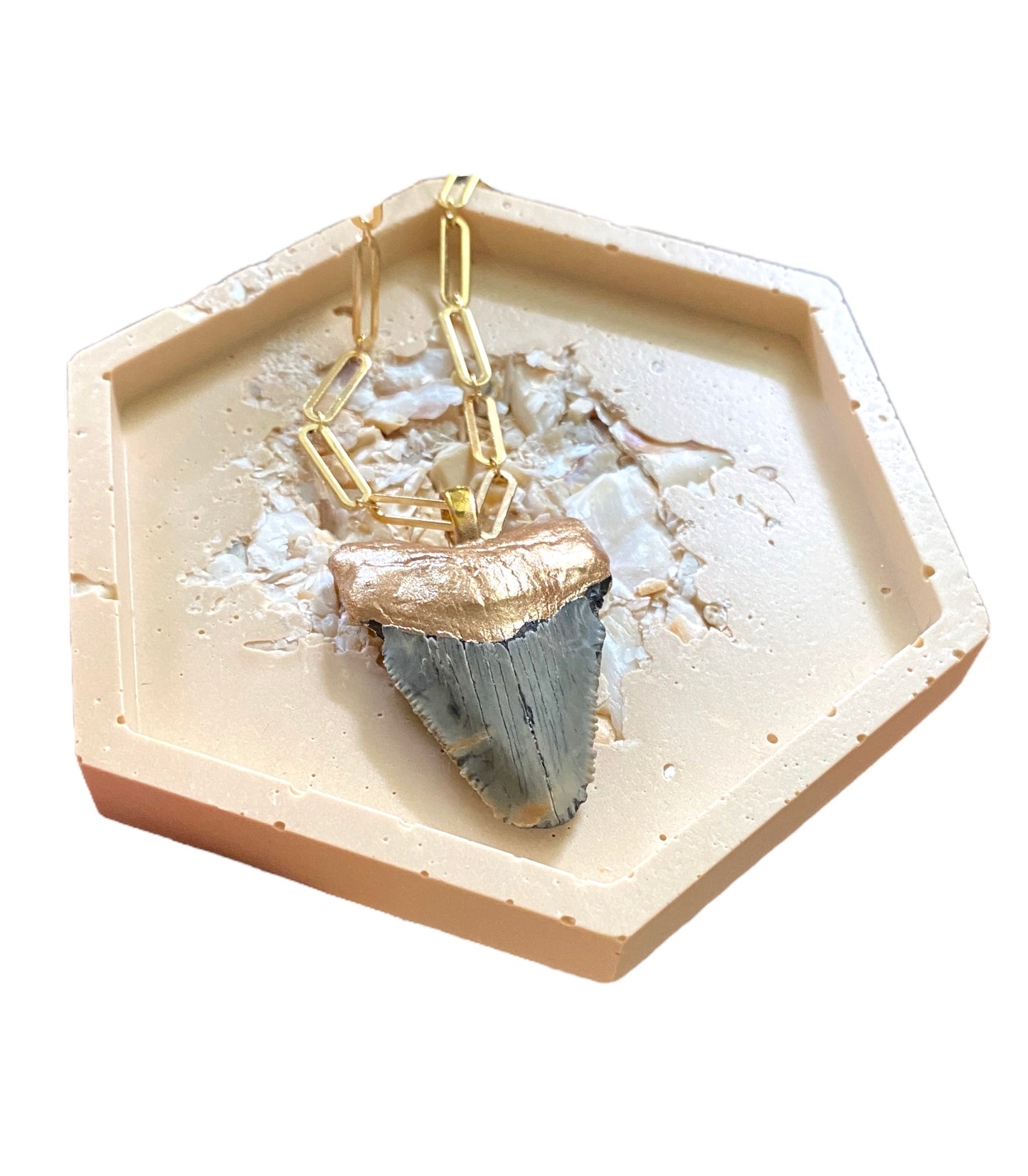 real shark tooth necklace, gold tip megalodon fossil shark tooth pendant on chunky paperclip chain necklace - foxy fossils