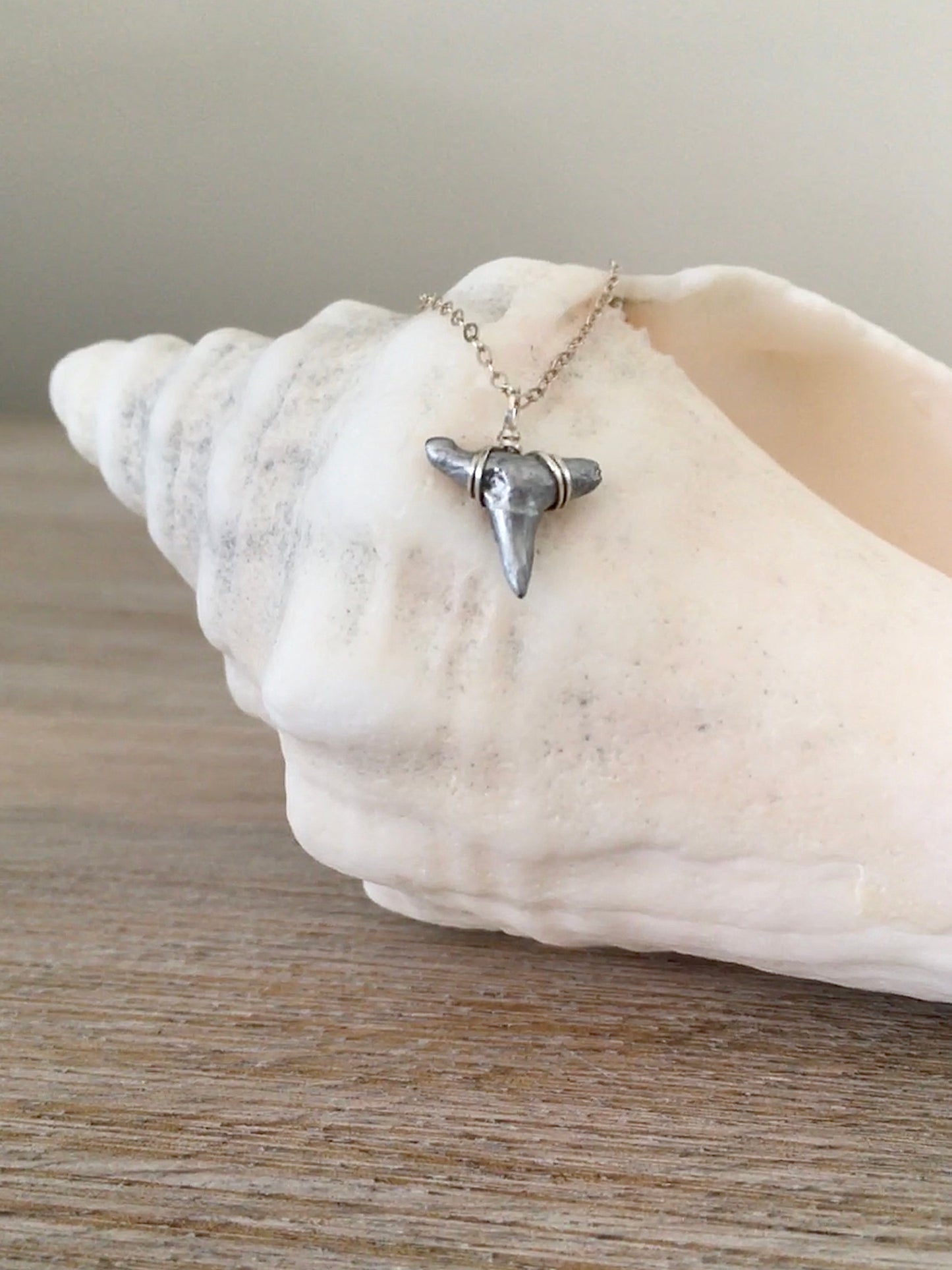 Drop of Silver - Foxy Fossils