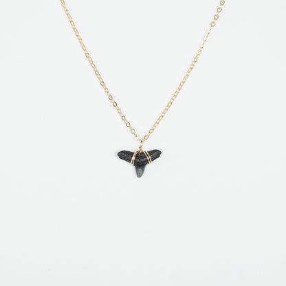 natural shark tooth pendant necklace-real fossilized shark tooth jewelry-foxy fossils