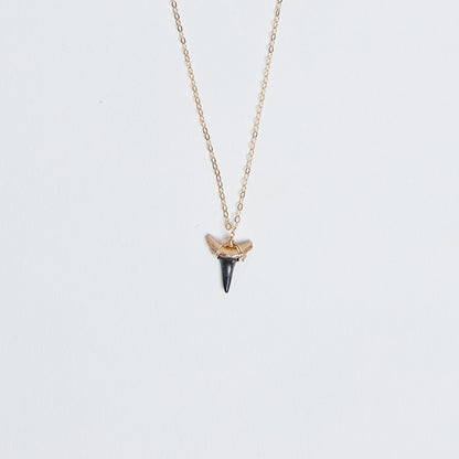 Gold-Tip Shark Tooth Necklace real fossilized prehistoric shark tooth pendant wire wrapped with gold - Foxy Fossils