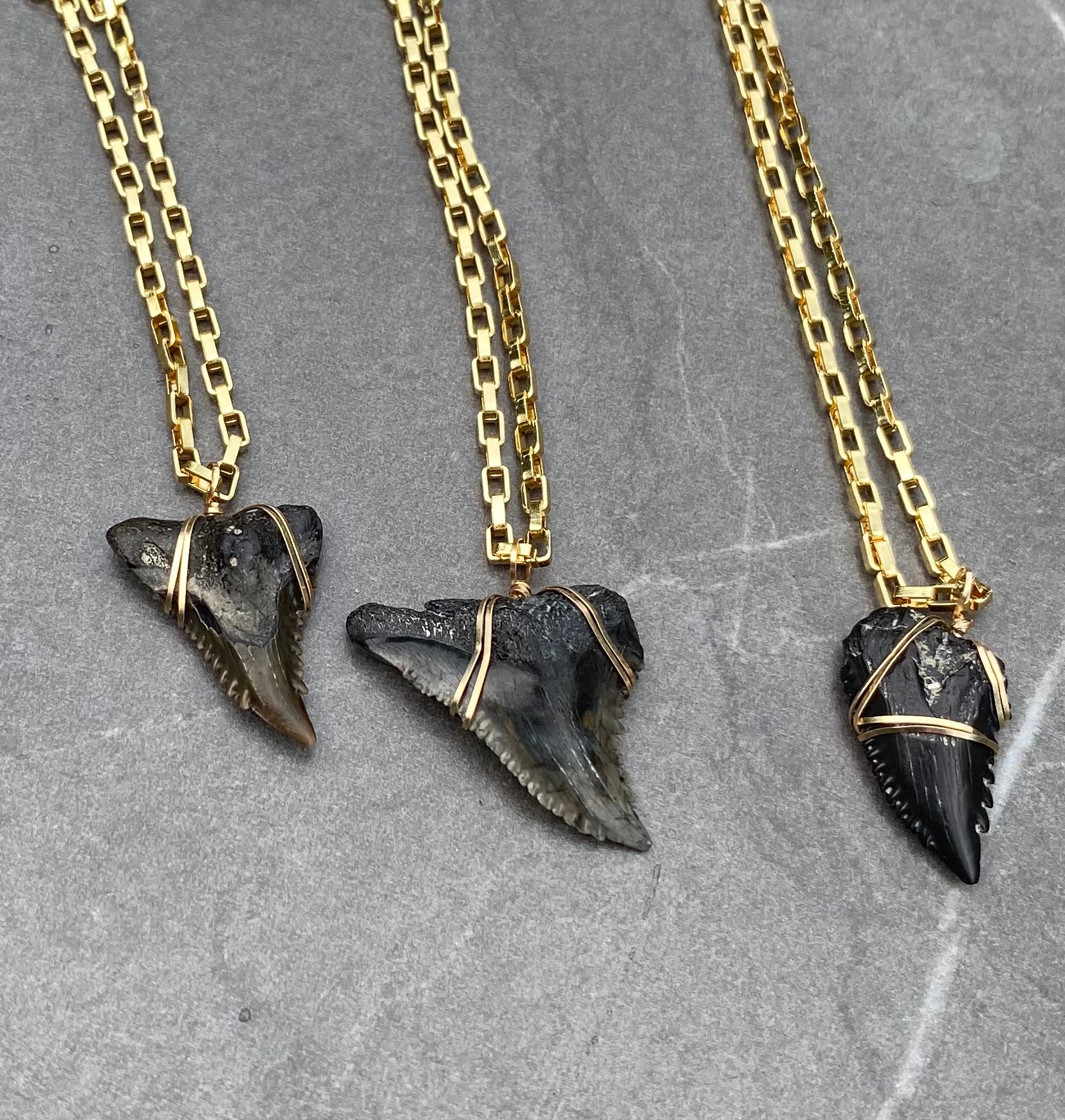 Luxury Mens Shark Tooth Necklace — Real Foxy Fossils