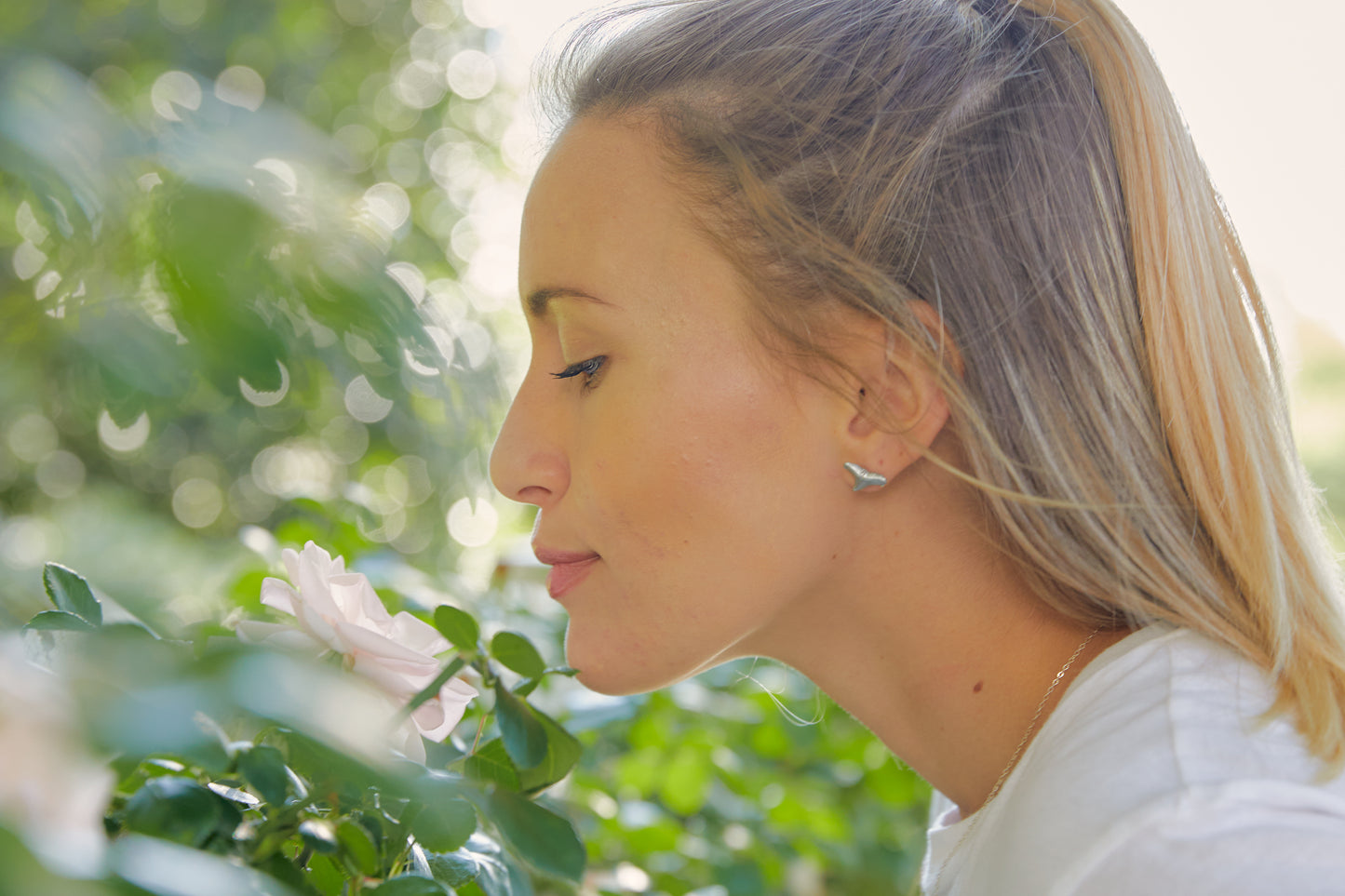 silver shark tooth stud earrings with real fossil shark teeth
