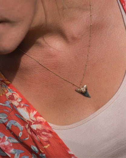 elegant shark tooth necklace with real shark tooth from snaggletooth hemi and her gold tip necklace on satellite chain worn by model 2 —Foxy Fossils 