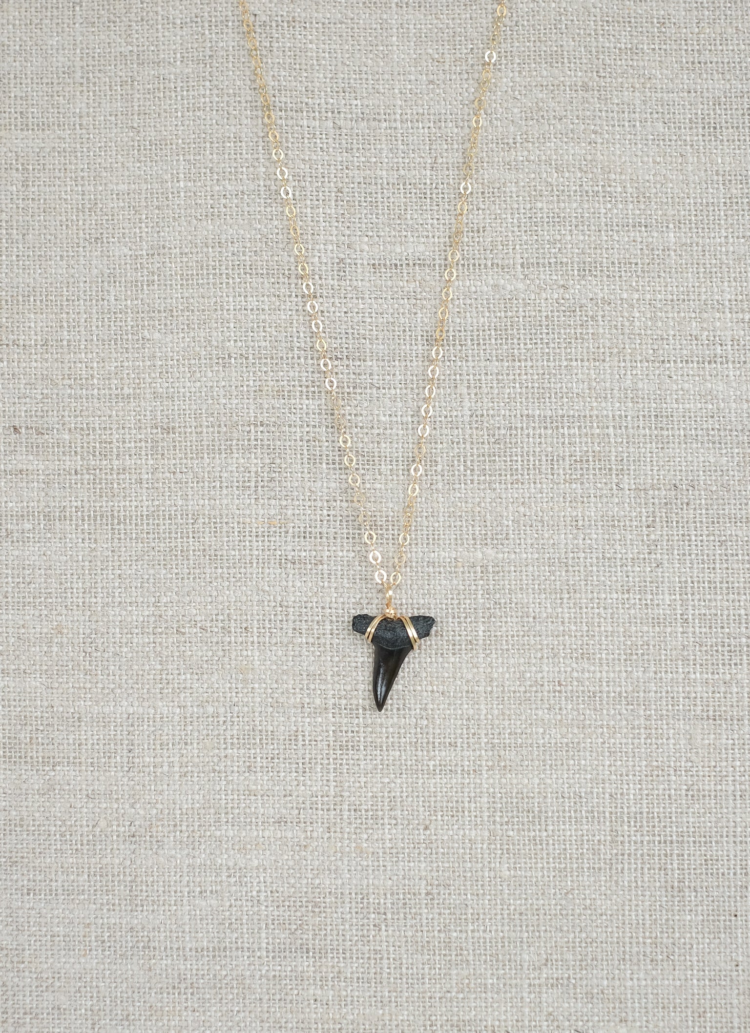 shark tooth necklace on gold chain wire wrapped black fossil shark tooth necklace by foxy fossils