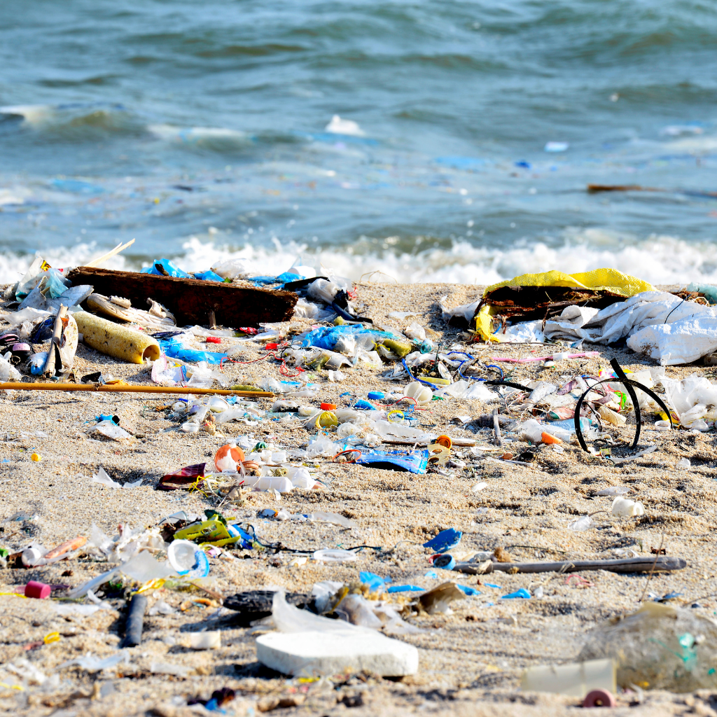 The Top 6 Plastic Ocean Pollution Facts to Understand