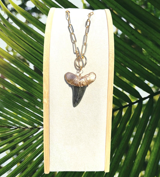 Large Prehistoric Shark Tooth Necklace—Gold-Tip on Chunky Chain