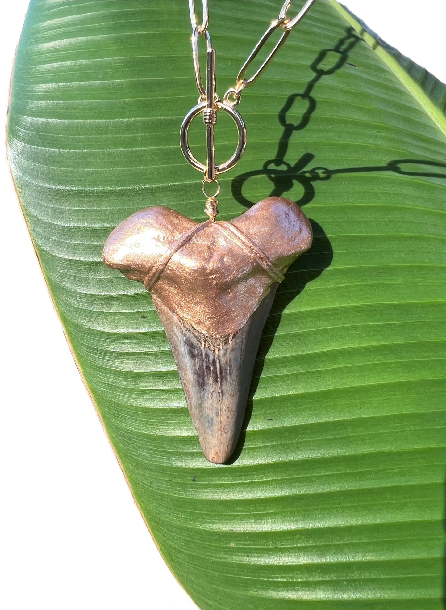 Real fossil megalodon shark tooth necklace-huge-Foxy Fossils 
