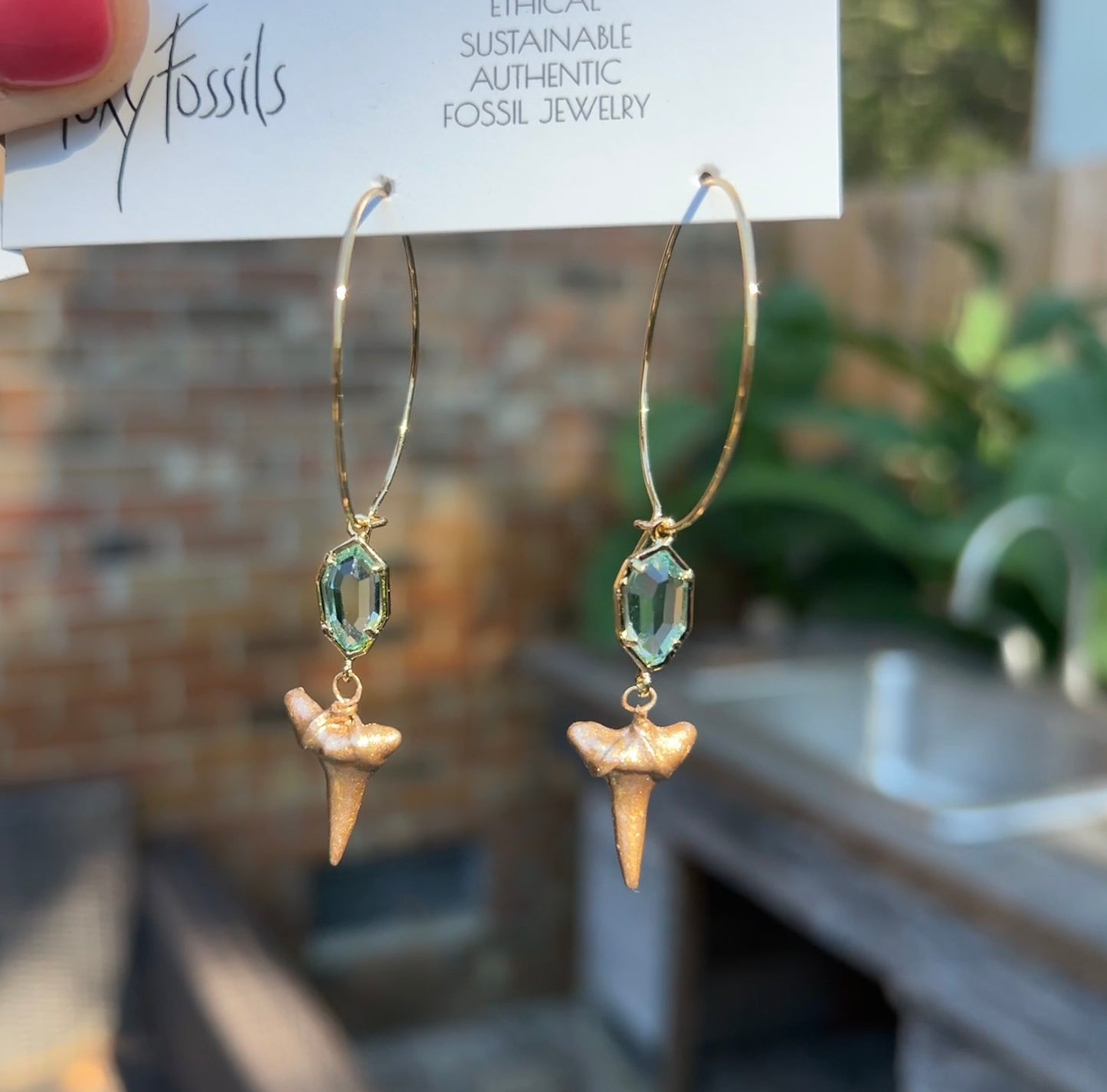 Saltwater legacy, gold, shark tooth earrings, Foxy Fossils ￼
