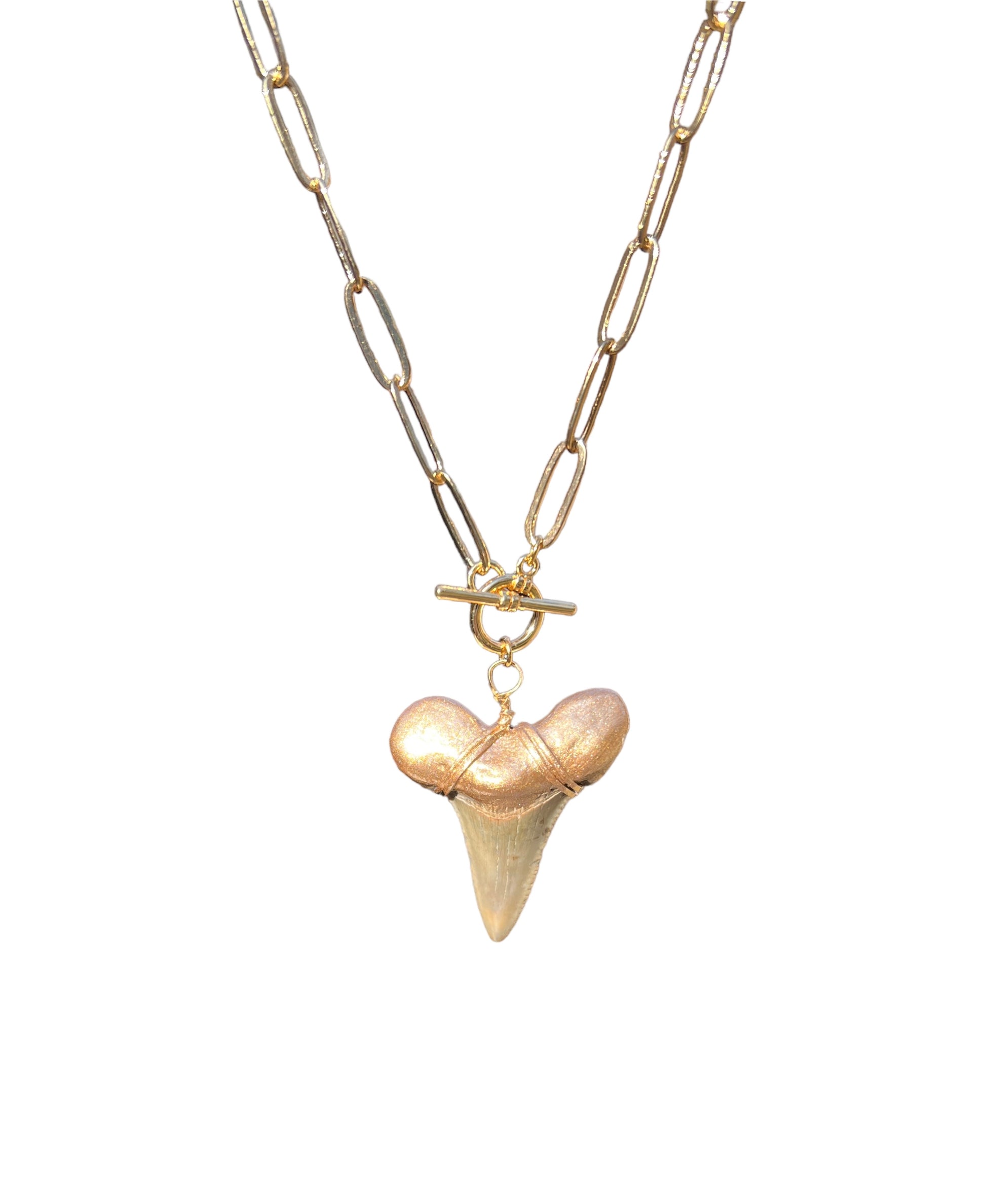 Real shark tooth necklace—Large gold-tip real fossilized megalodon shark tooth pendant on thick link chain ethically sourced —Foxy Fossils 