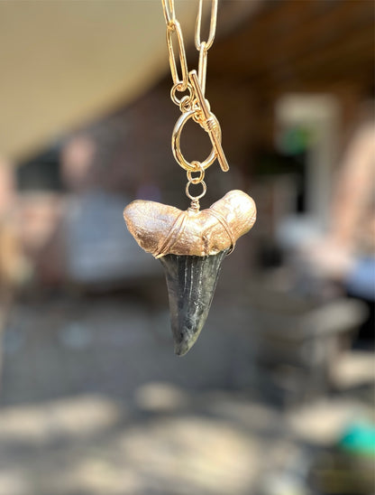 Large Prehistoric Shark Tooth Necklace—Gold-Tip on Chunky Chain