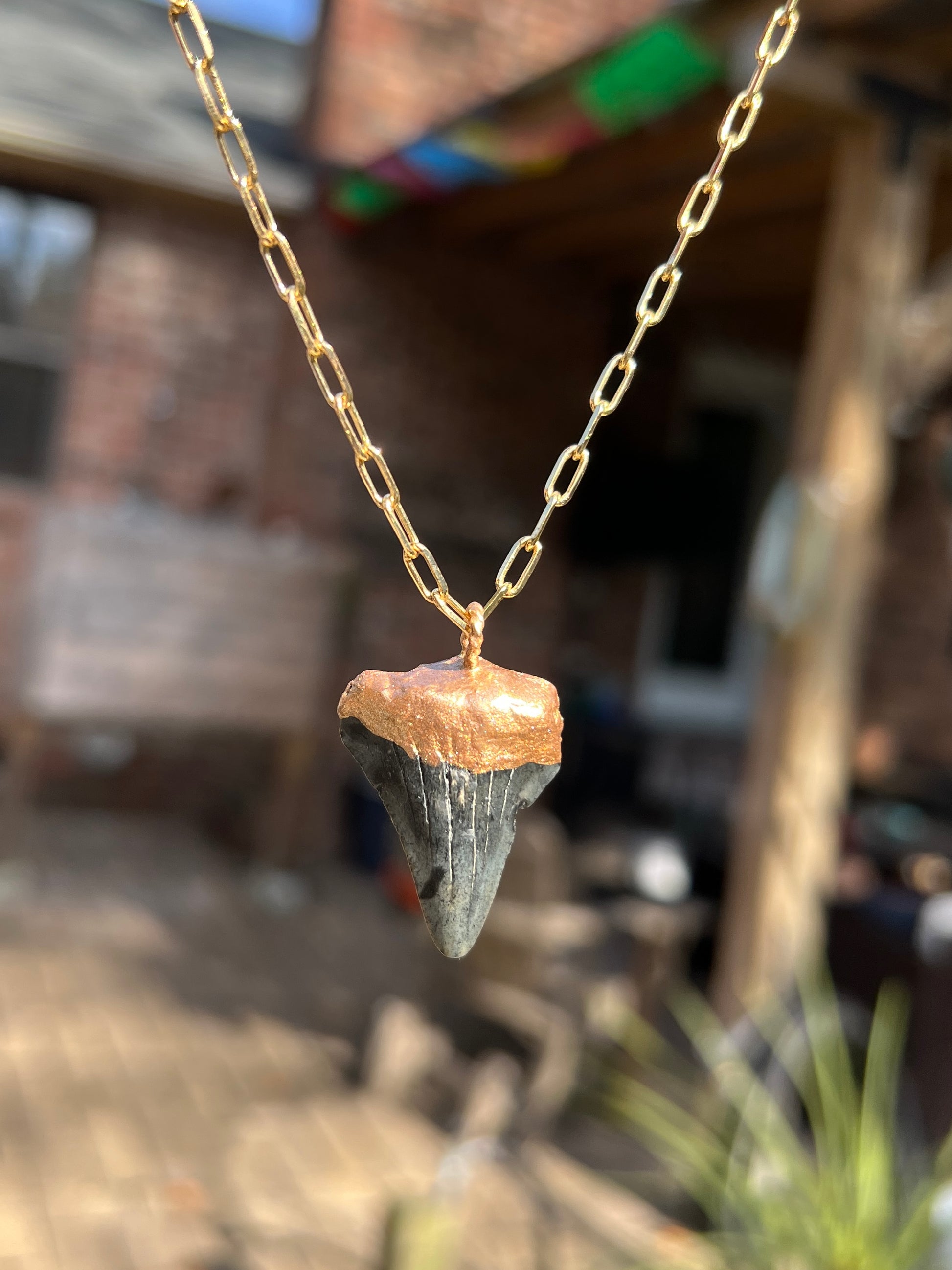 Megalodon Shark Tooth Necklace-Real Fossils Foxy Fossils
