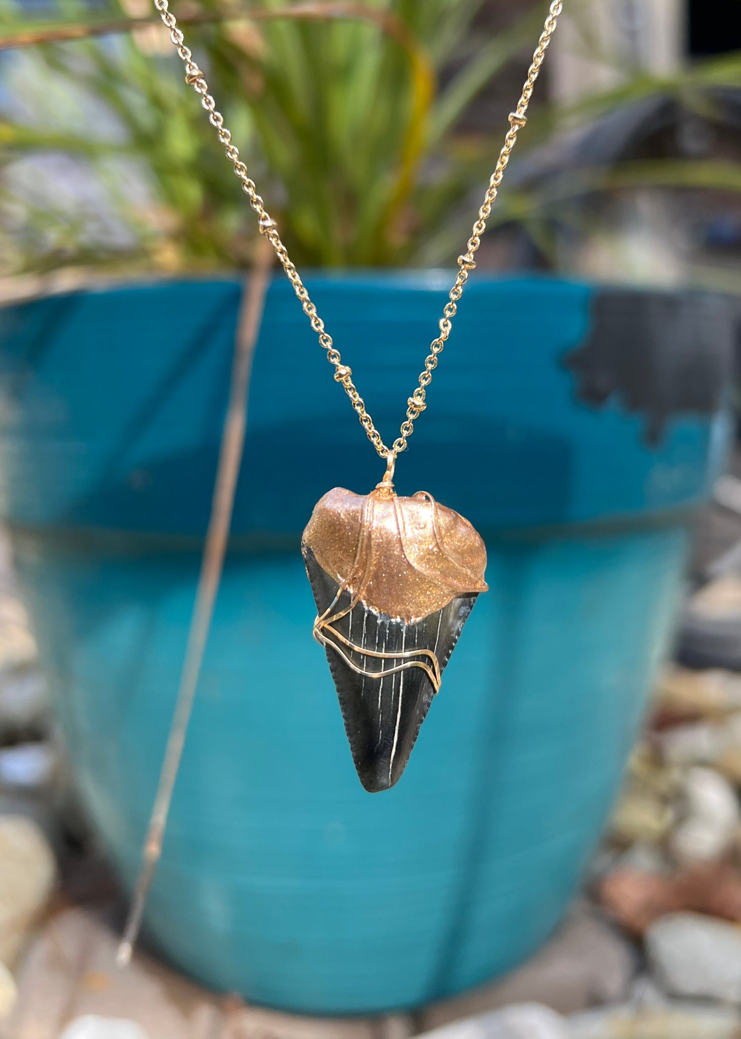 Large wire wrapped gold dipped megalodon shark tooth necklace-real fossil shark tooth necklace by Foxy Fossils 
