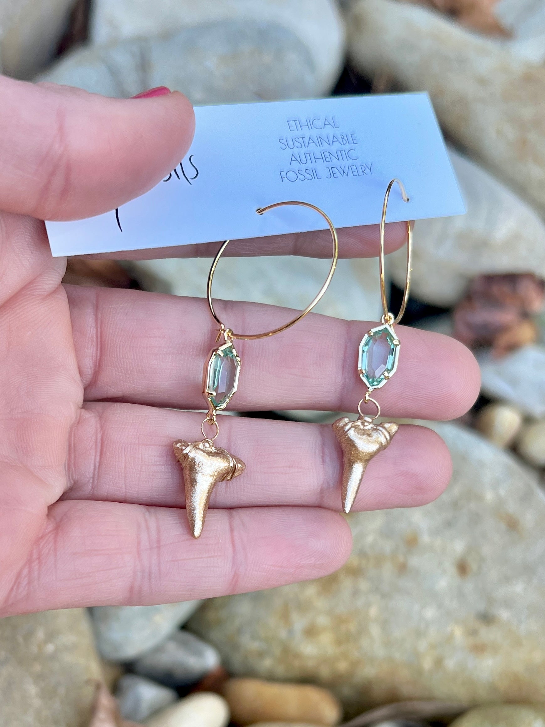 Elegant fossil shark tooth hoop earrings Charleston-gold shark teeth hoops—Foxy Fossils ethically sourced fossils original shark tooth jewelry 