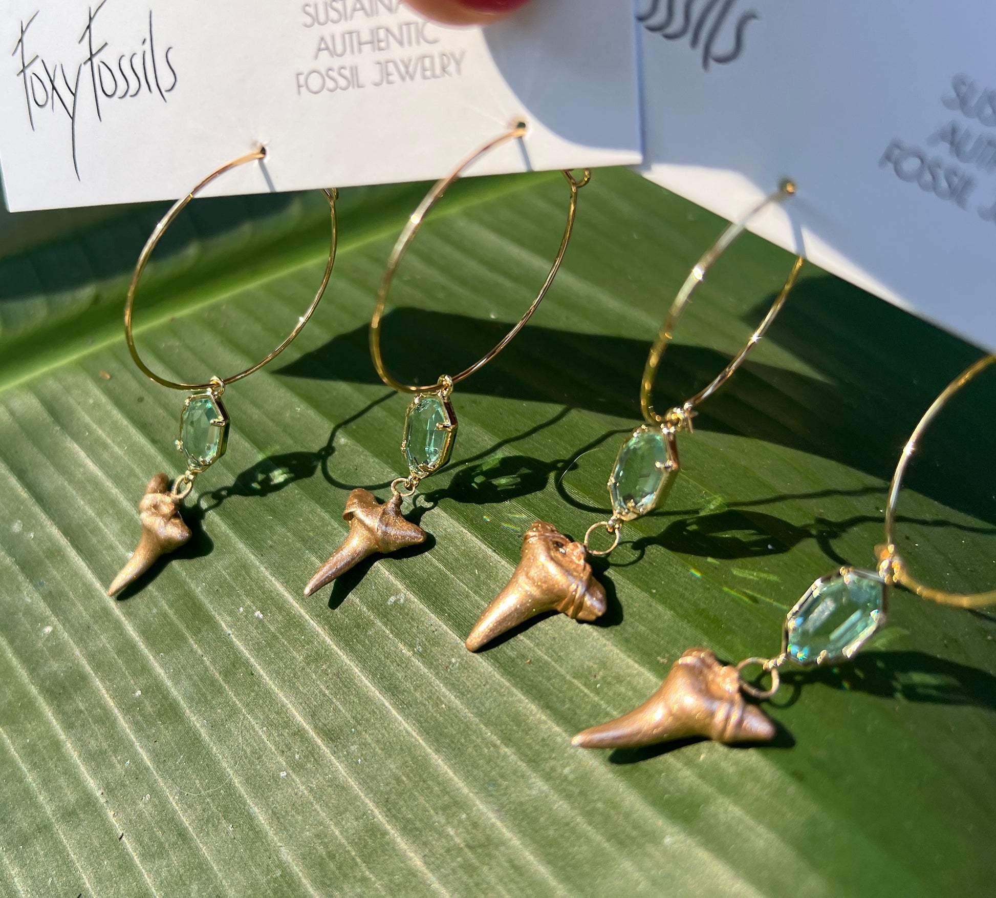 Real fossilized shark teeth hoop earrings with glass framed in gold —Foxy Fossils ethically sourced fossils original shark tooth jewelry 