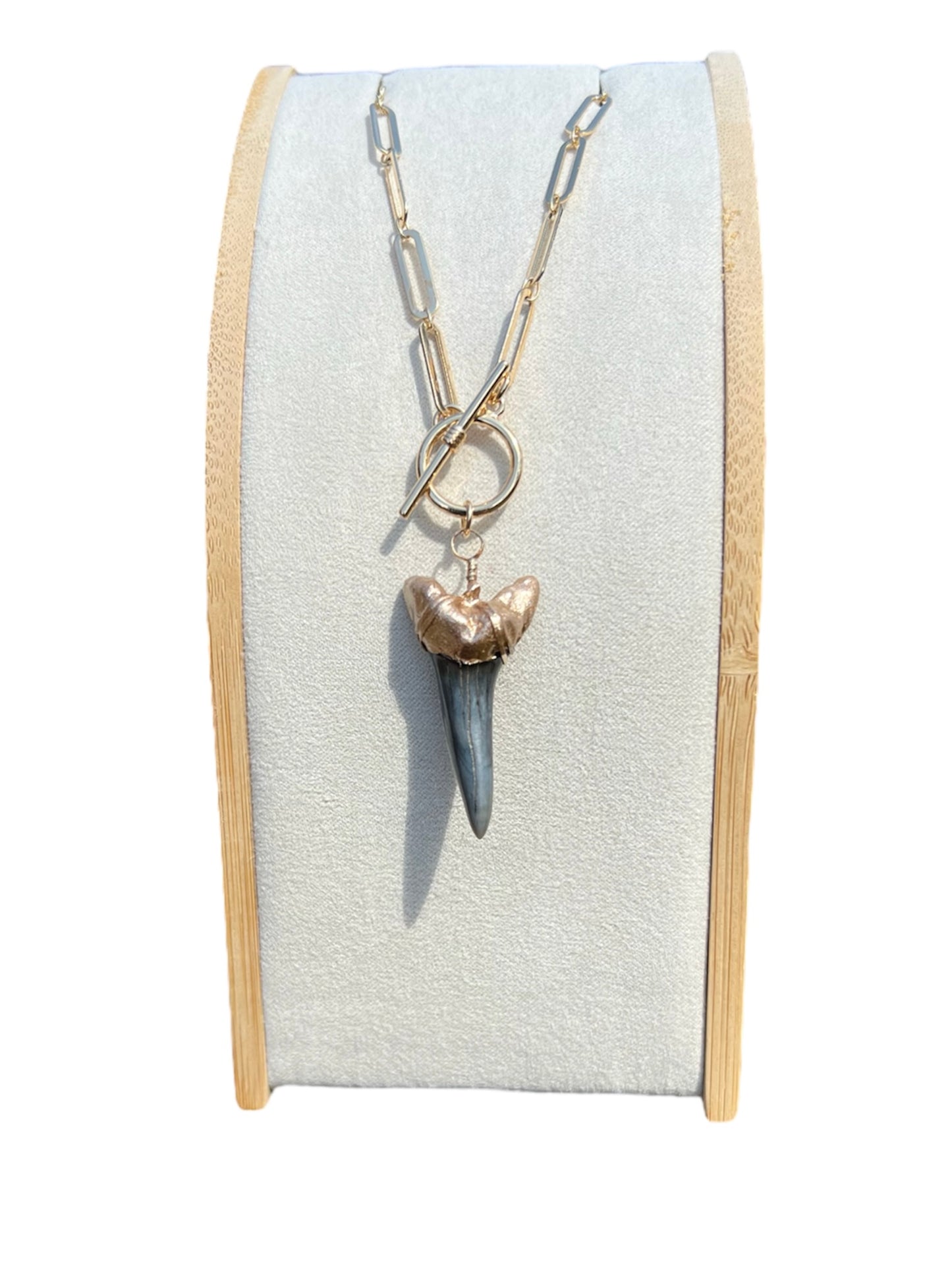 Real fossil large mako shark tooth necklace gold tip on chunky gold chain Charleston—Foxy Fossils 