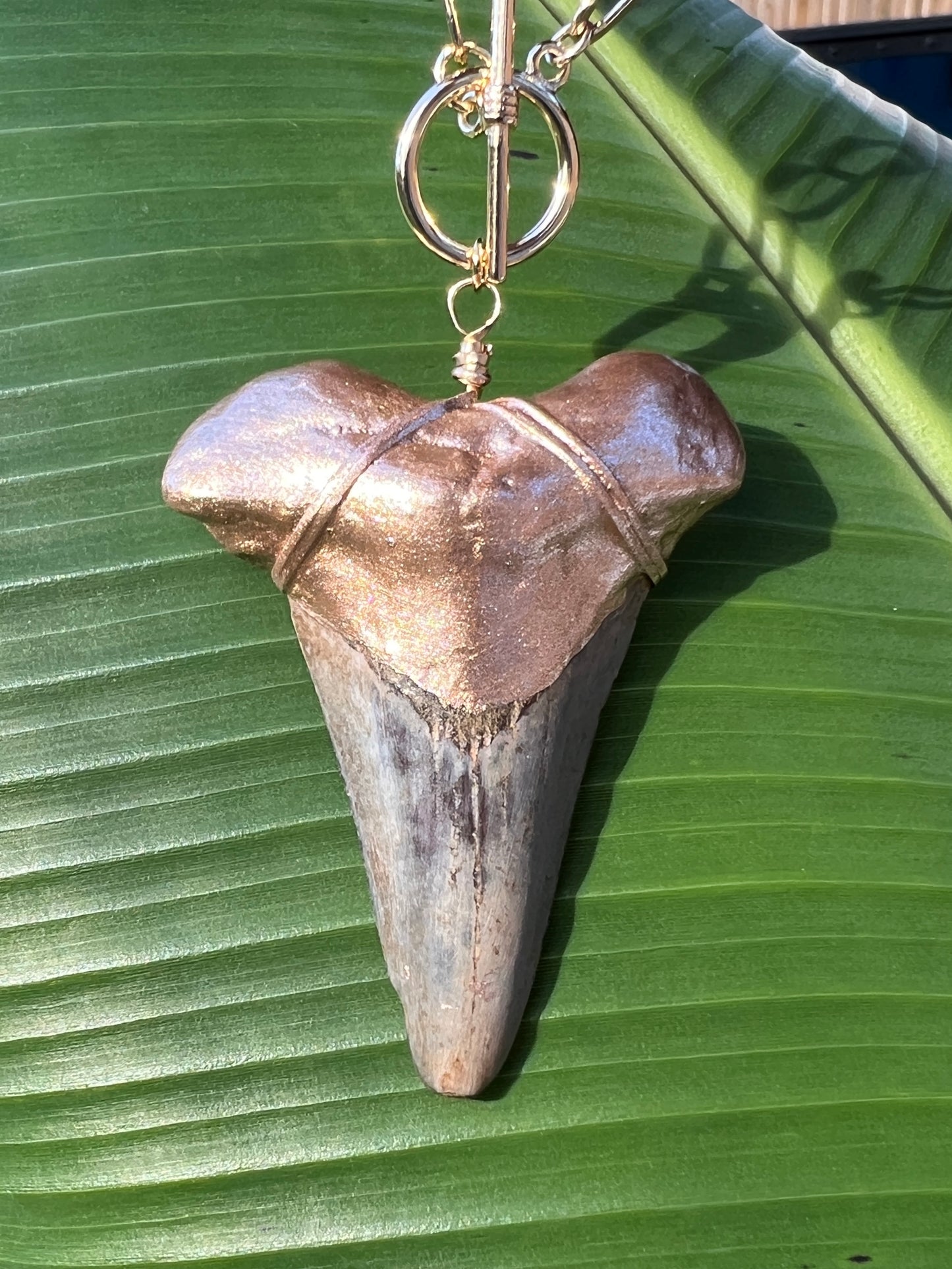 Huge shark tooth necklace statement megalodon shark tooth pendant-Foxy Fossils 