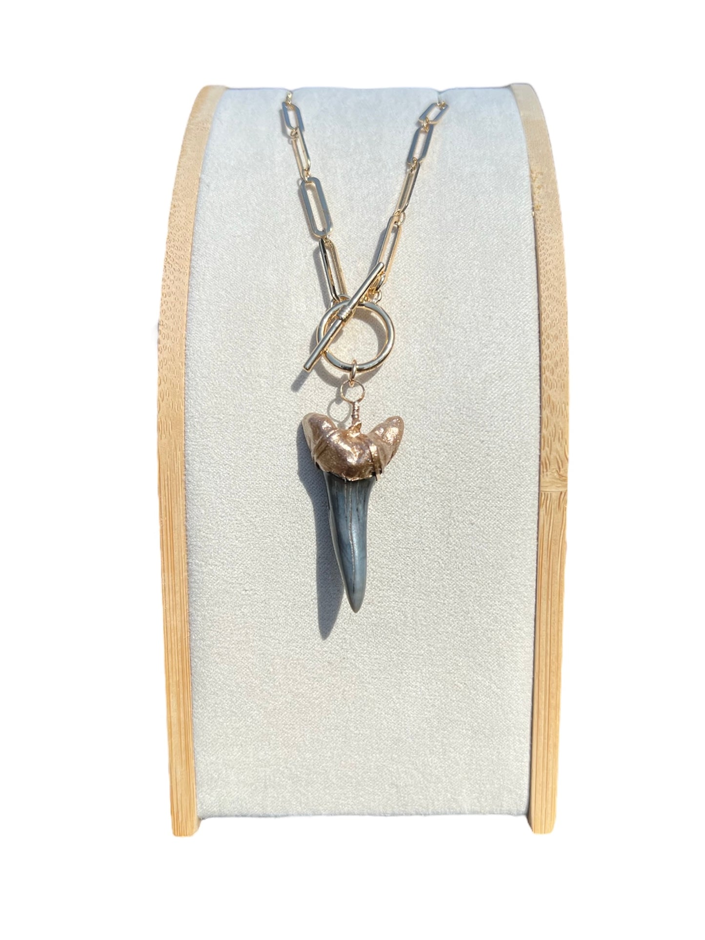 Real fossil large mako shark tooth necklace gold tip on chunky gold chain —Foxy Fossils 