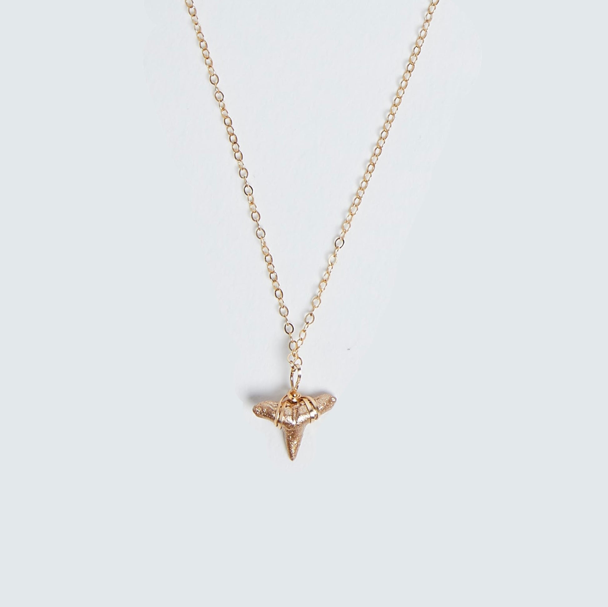 drop of gold real fossil shark tooth necklace gold—Foxy Fossils 