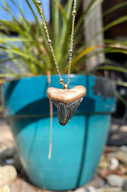 Gold tip large megalodon shark tooth necklace for women featuring a real fossilized shark tooth —Foxy Fossils 