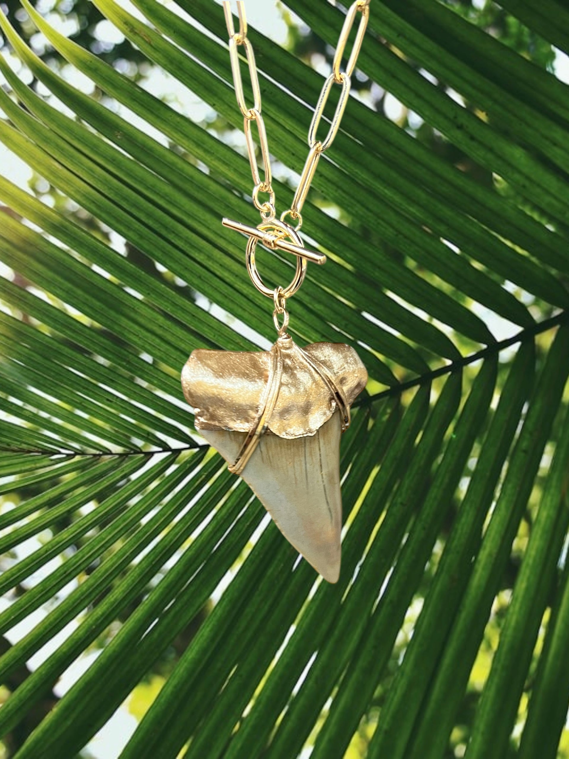 Giant Shark Tooth Fossil Necklace- Gold-Tip Chunky Chain Foxy