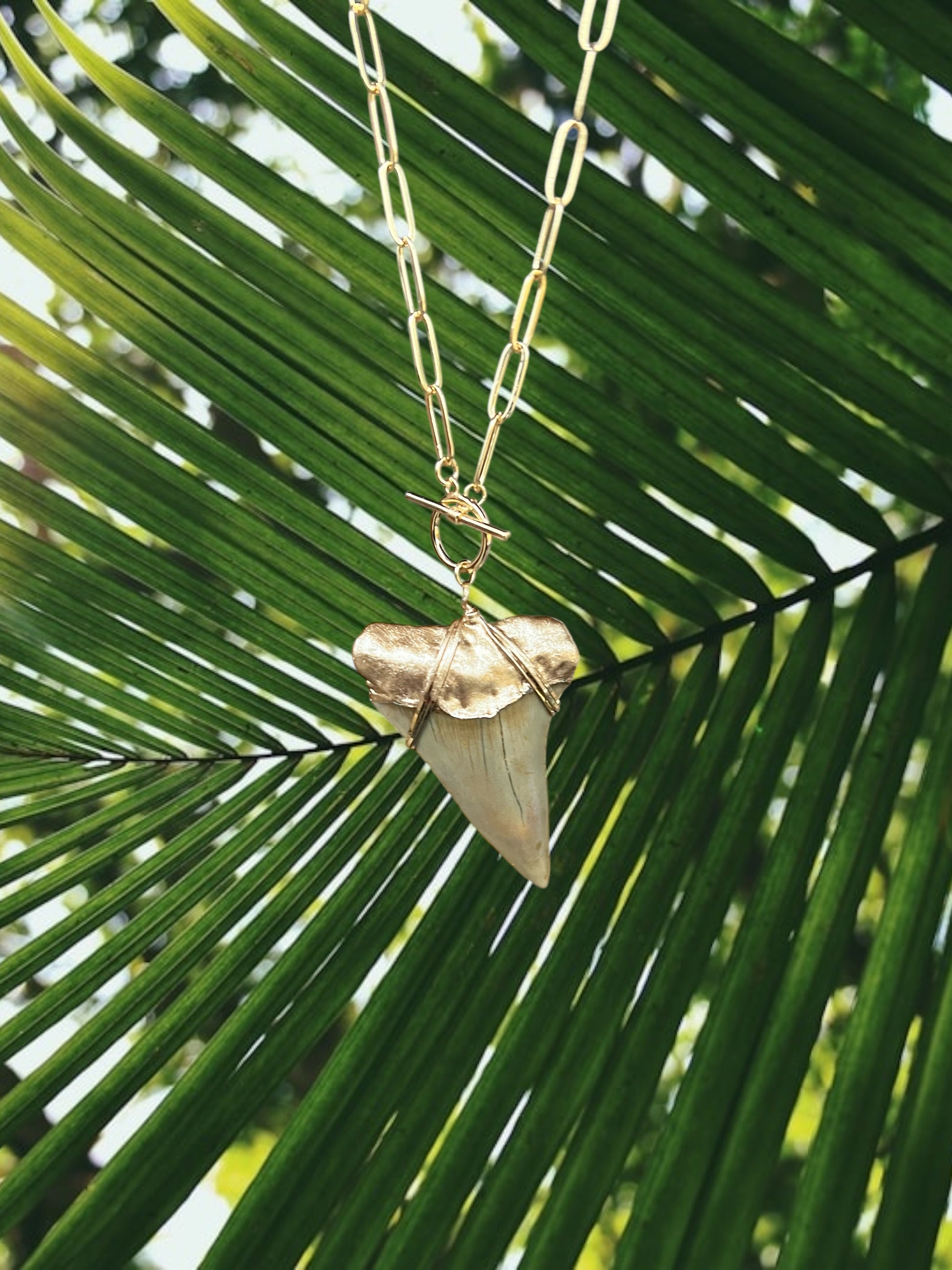 Fossilized Shark Shark Tooth Necklace Gold Chain Giant Shark Tooth