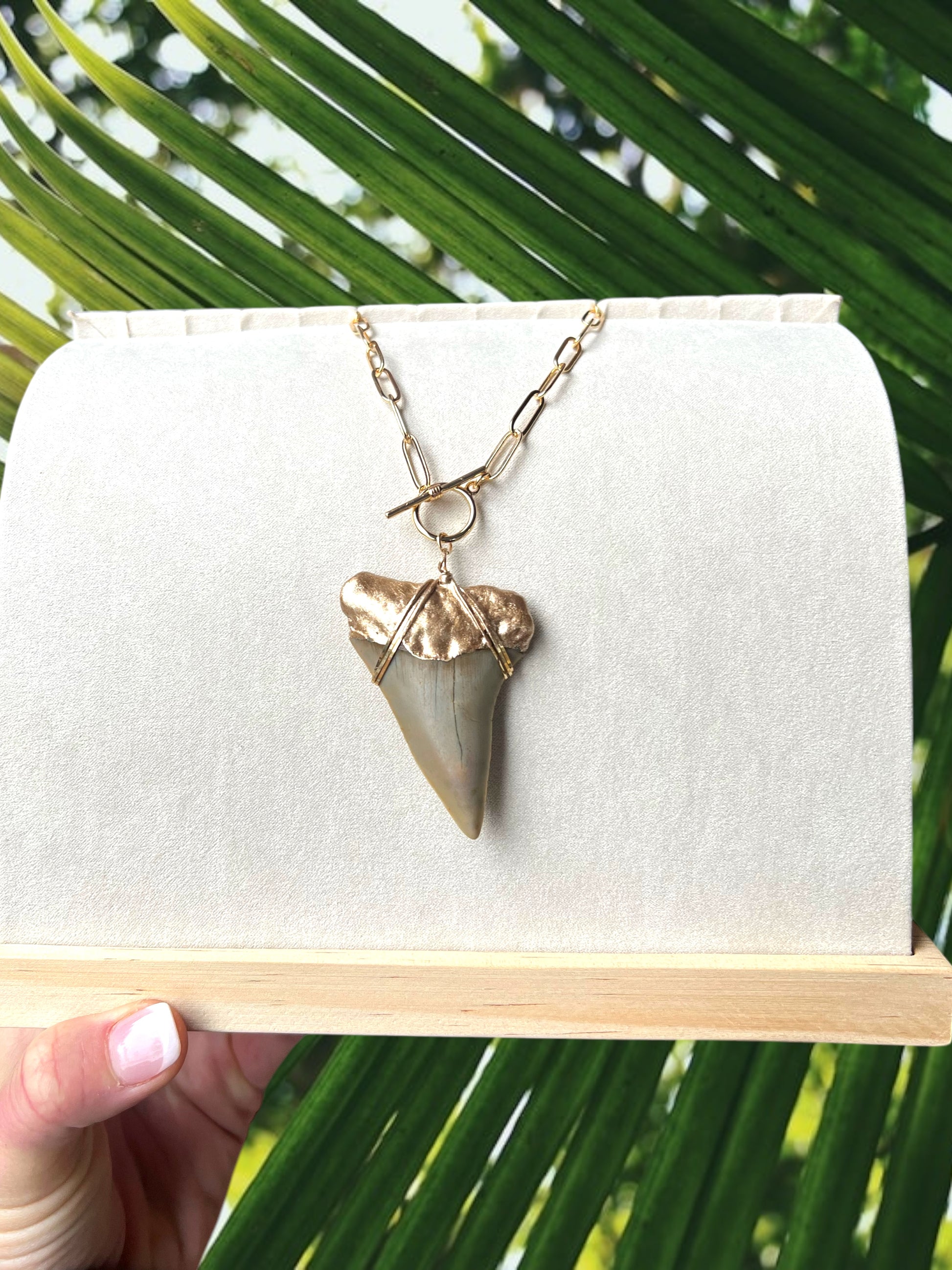 Giant Shark Tooth Fossil Necklace- Gold-Tip Chunky Chain Foxy