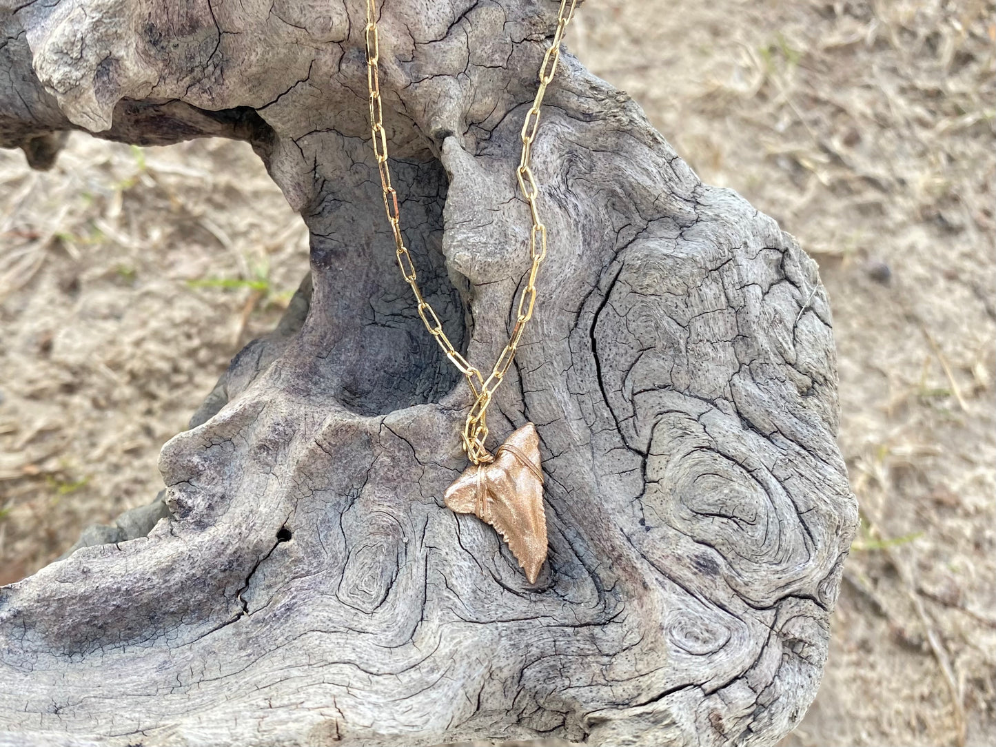 Hemi Shark Tooth Necklace — Gold Snaggletooth Necklace | Foxy Fossils