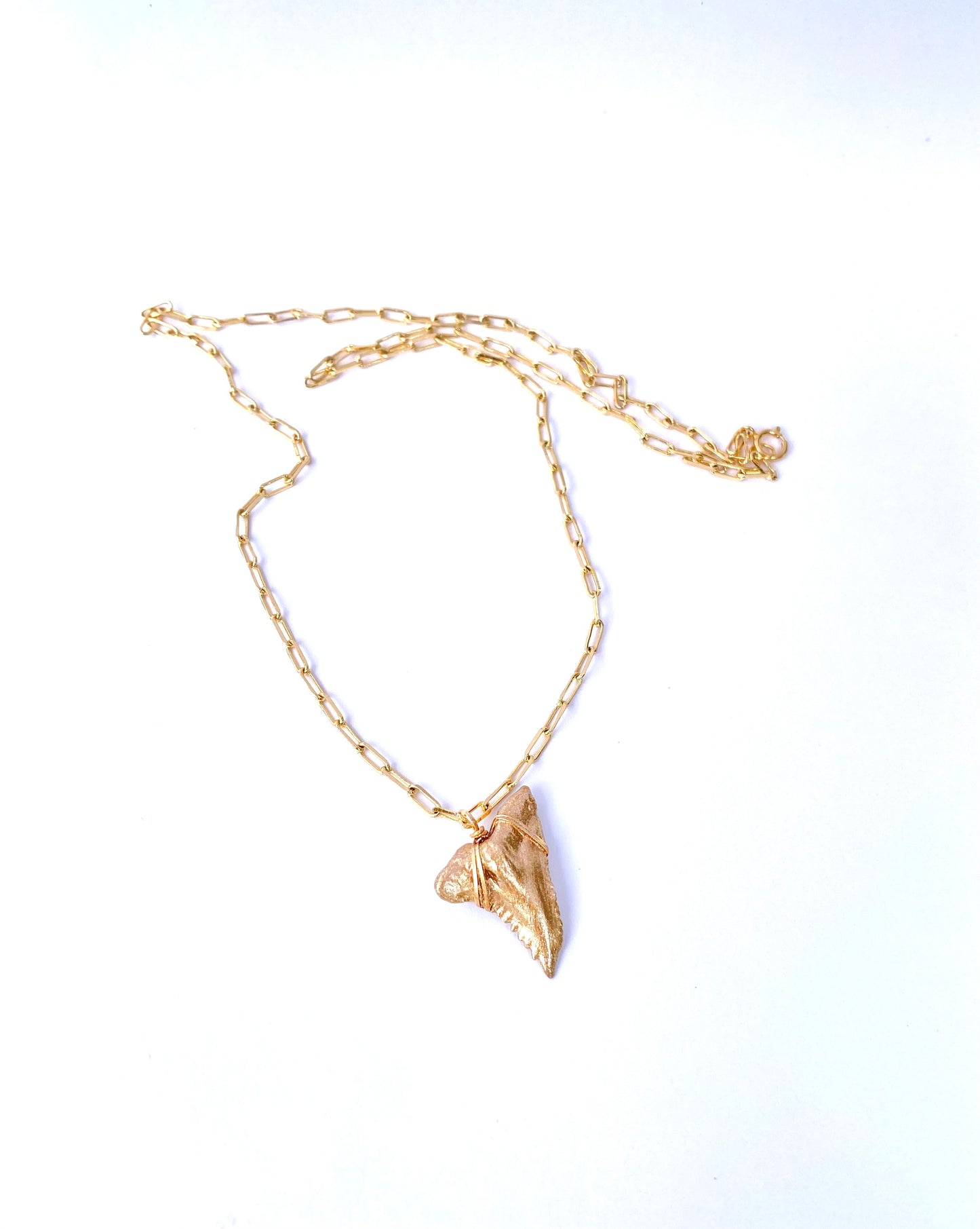 Hemi Shark Tooth Necklace — Gold Snaggletooth Necklace | Foxy Fossils