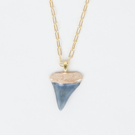 Real Great White Shark Tooth Necklace | Fossil Necklace Charleston SC