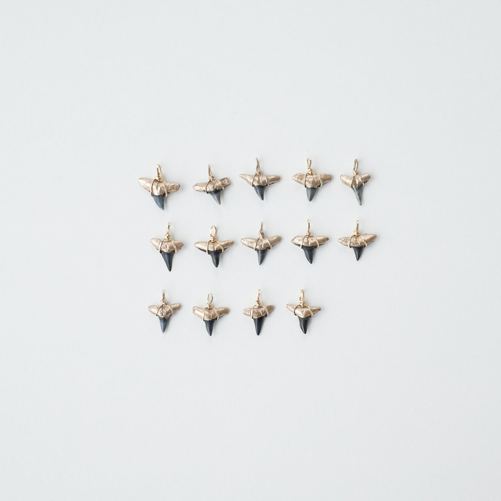 gold tip real shark tooth pendants-Foxy Fossils 