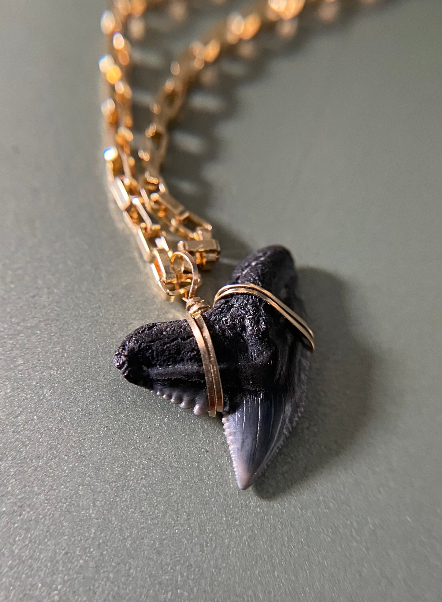 Men’s Tiger Shark Tooth Necklace