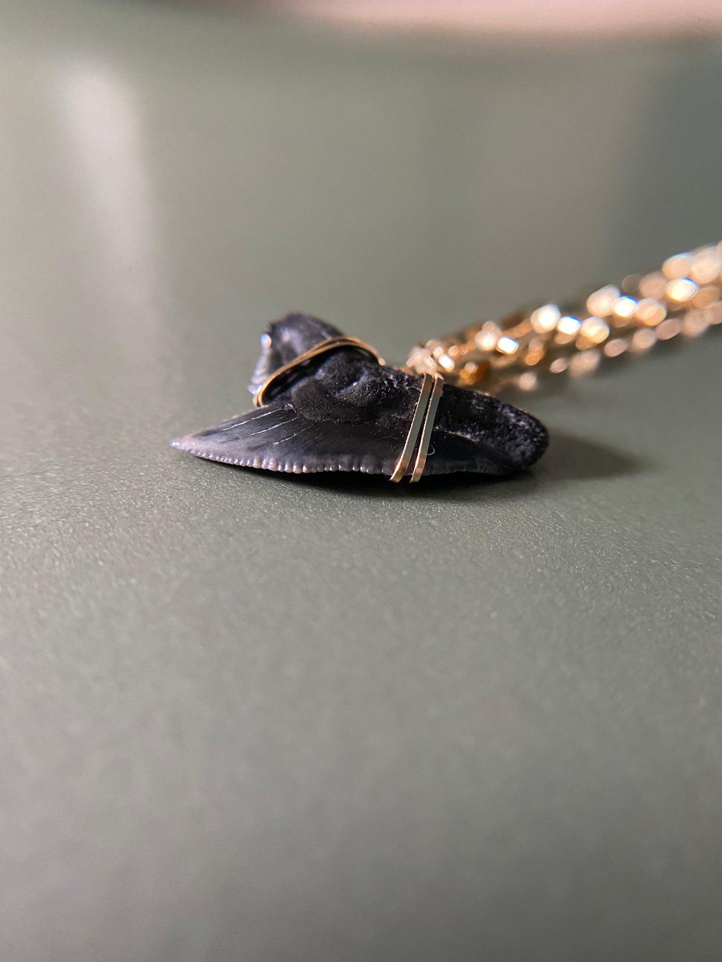 Men’s Tiger Shark Tooth Necklace