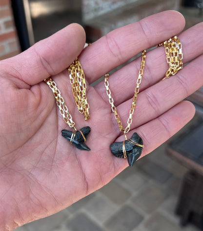 Men’s Tiger Shark Tooth Necklace