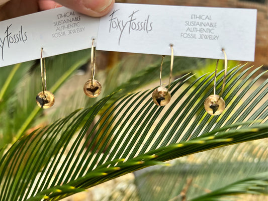 Tiny Shark Tooth Hoop Earrings