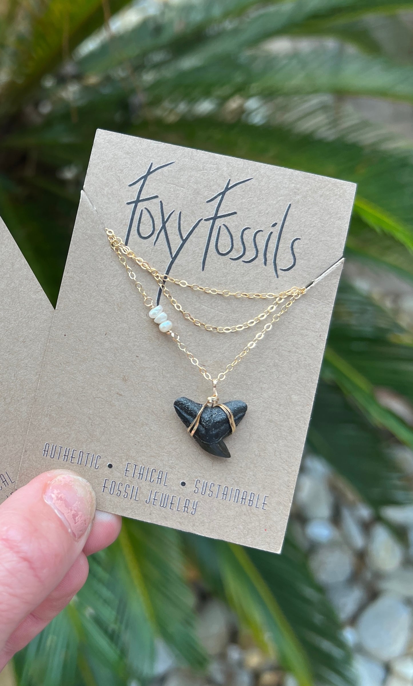 Real fossil tiger shark tooth wire wrapped necklace with tiny pearls