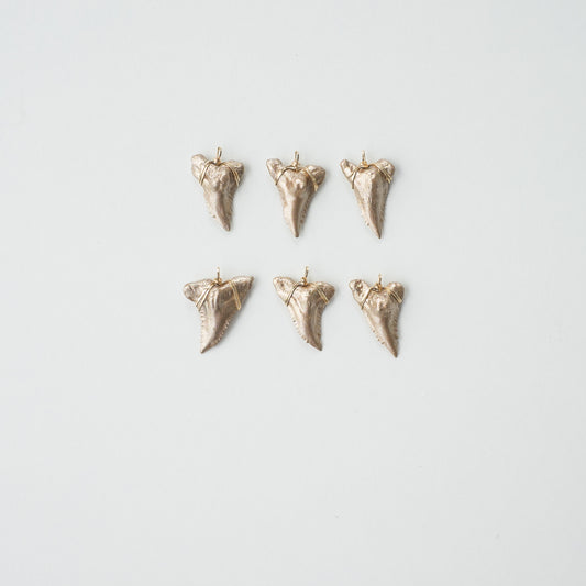 real fossilized shark teeth pendants gold snaggletooth shark teeth pendants foxy fossils